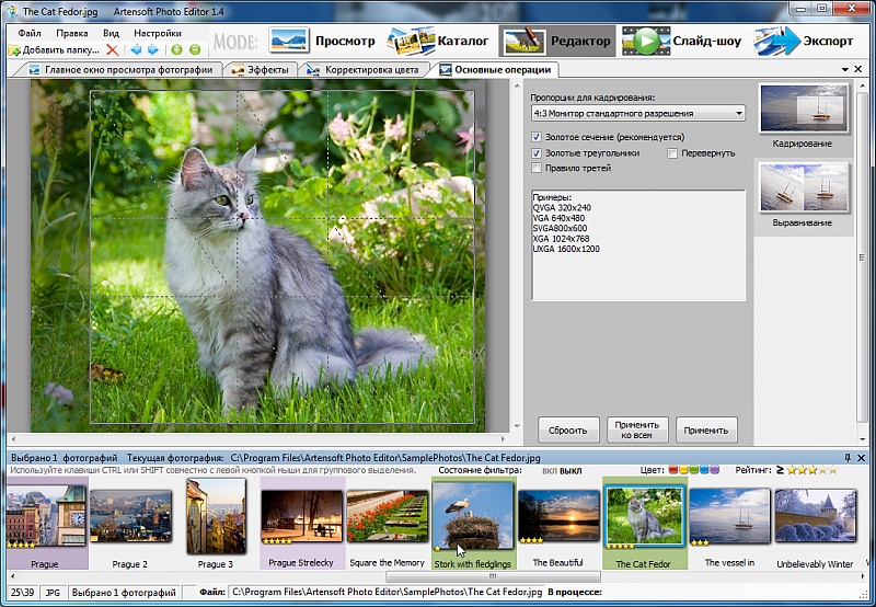 Artensoft Photo Editor